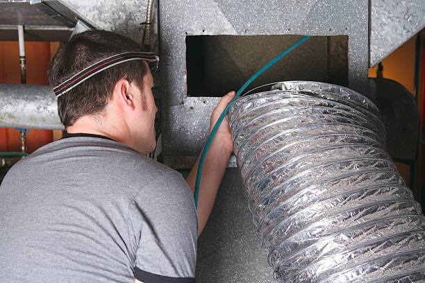 Best Dryer Vent Cleaning Services  in Rice, MN