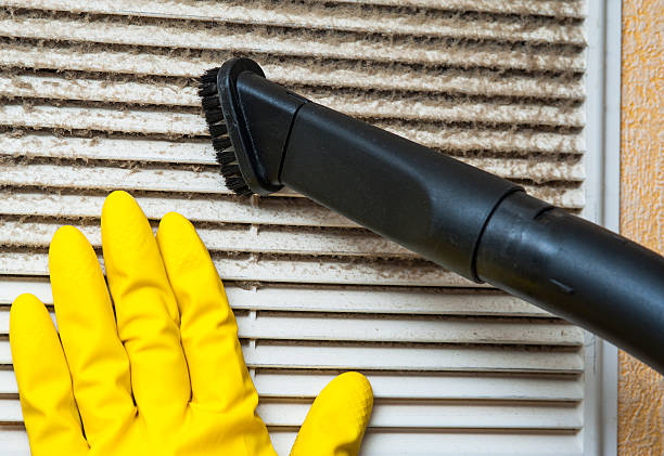 Best Ductwork Cleaning Services  in Rice, MN