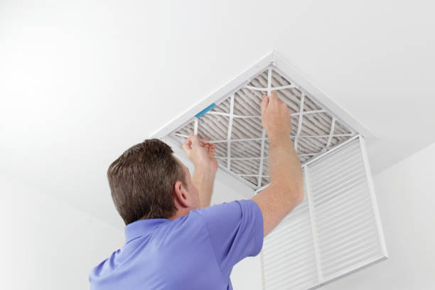 Best Affordable HVAC Duct Cleaning  in Rice, MN
